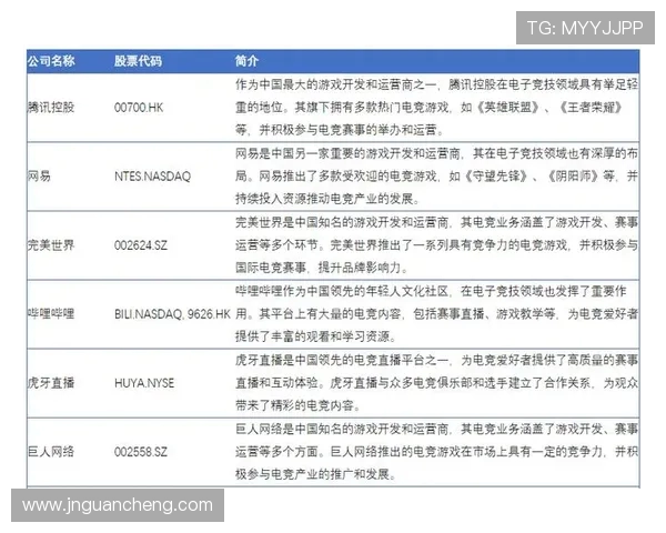 从赛事体系到选手生态全面解析当代电竞职业联赛的发展格局