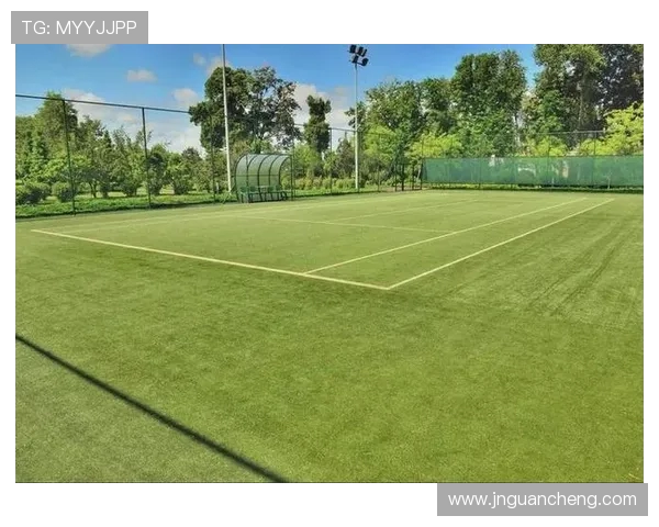 网球运动的发展历程与技术创新：从草地到硬地的演变与未来趋势