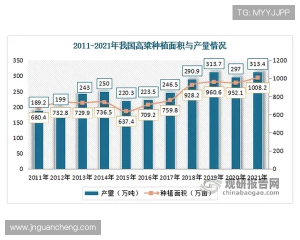 深入探讨成都篮球队比赛经验与表现的关键数据分析与趋势研究