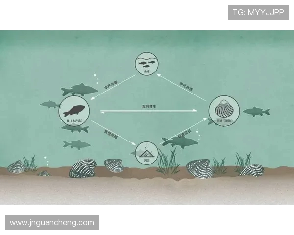 以向鱼王者为核心探寻水下世界生态智慧与生命共生之美