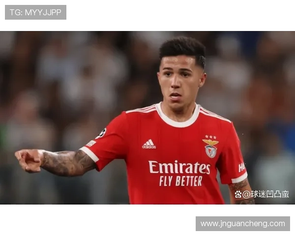 本菲卡崛起再掀欧洲足坛风暴书写新时代荣耀篇章